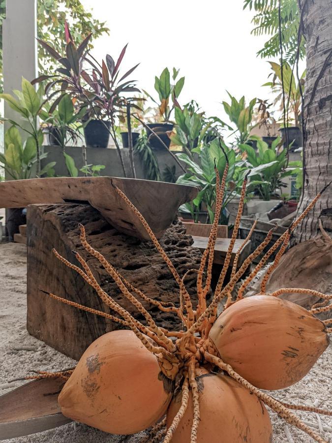 Dhoadhi Retreat Hotel Thulusdhoo Bagian luar foto