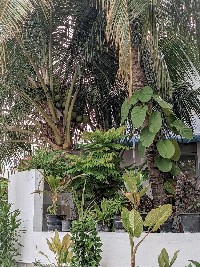 Dhoadhi Retreat Hotel Thulusdhoo Bagian luar foto