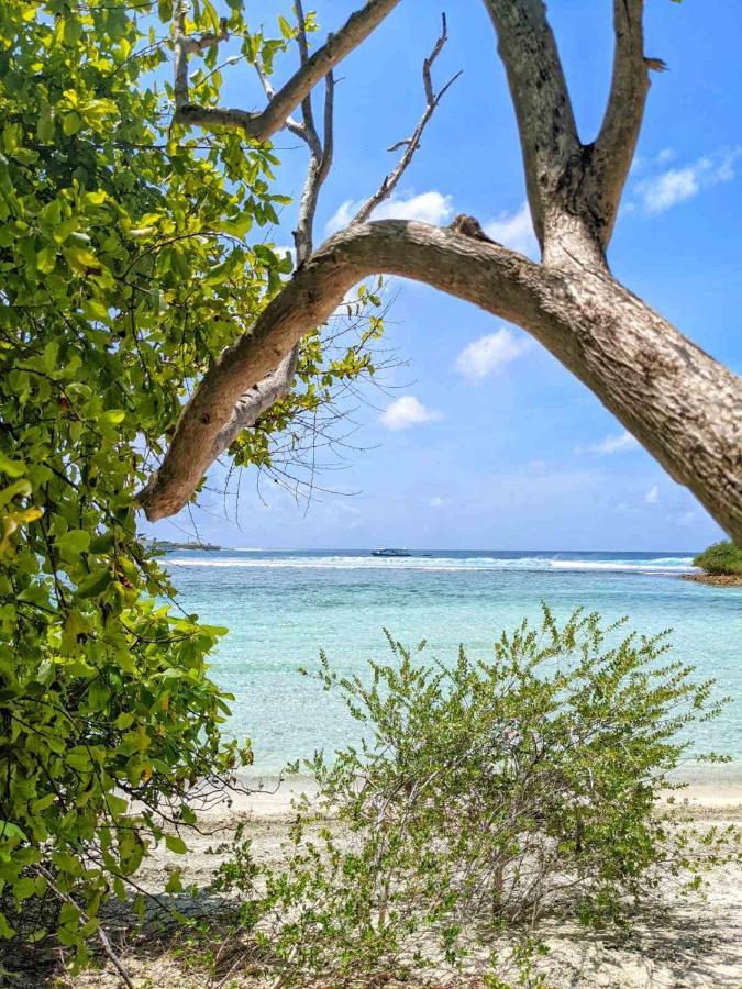 Dhoadhi Retreat Hotel Thulusdhoo Bagian luar foto