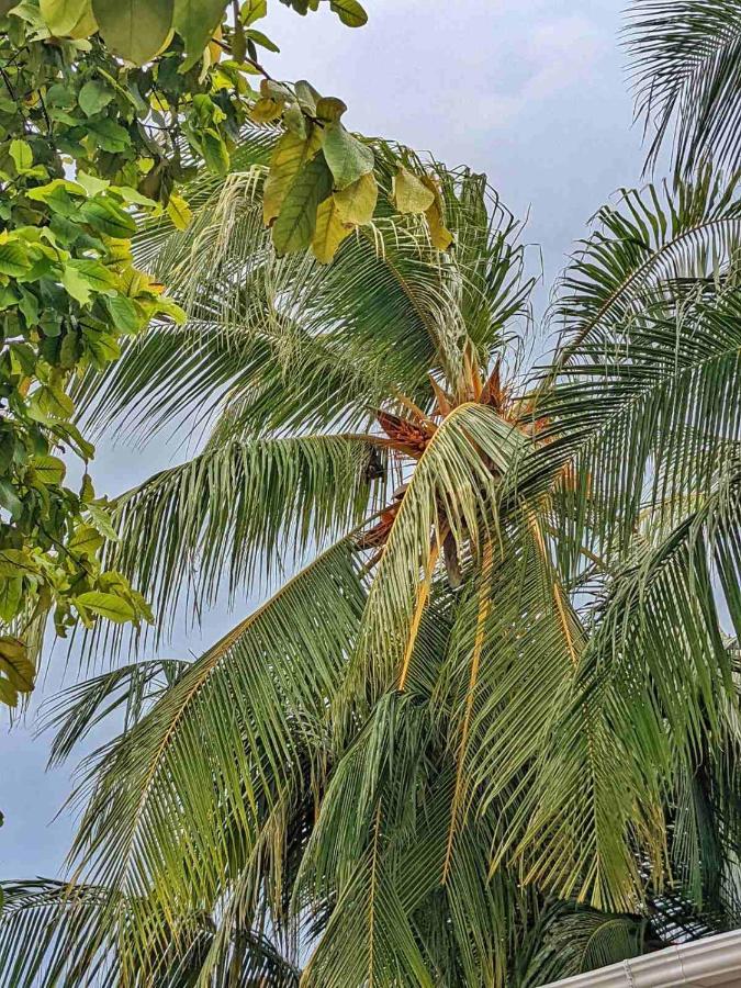 Dhoadhi Retreat Hotel Thulusdhoo Bagian luar foto